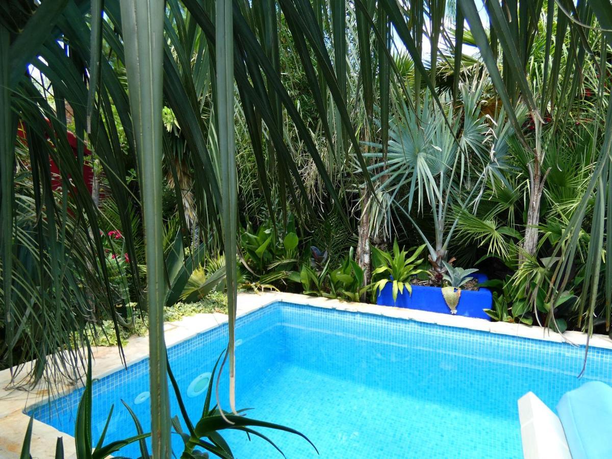 Villa Tropica, Total Privacy, Tropical Garden And Private Pool Kaštela 外观 照片